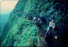 Photo - Mule trail, Kalaupapa, Molokai, Hawaii