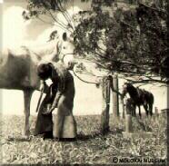 Photo - Shoeing his horse